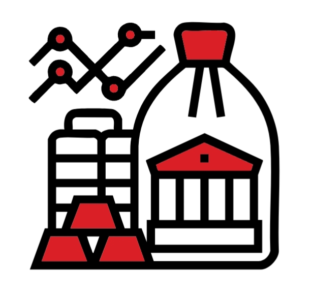 Treasury & capital market